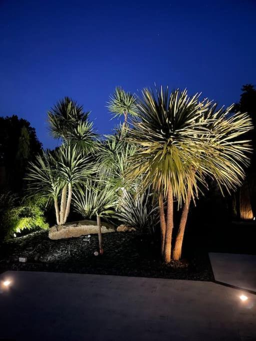 Villa Grand Standing Avec Piscine Proche Nantes La Chapelle-Heulin エクステリア 写真